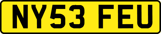 NY53FEU