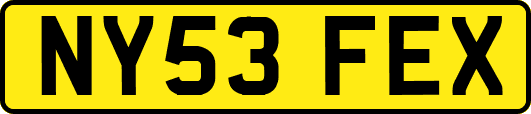 NY53FEX