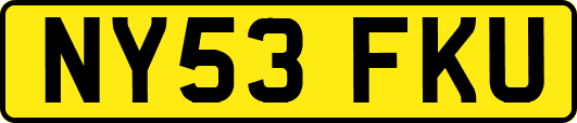 NY53FKU