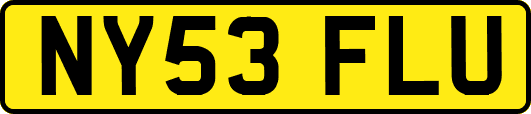 NY53FLU
