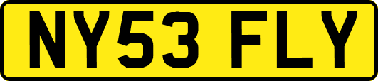 NY53FLY