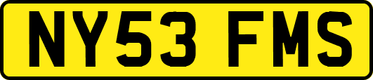 NY53FMS