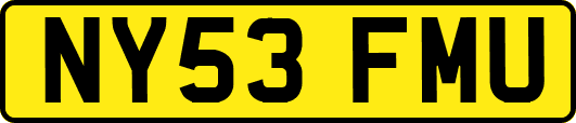 NY53FMU