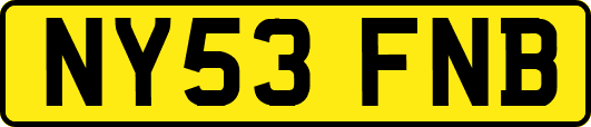 NY53FNB
