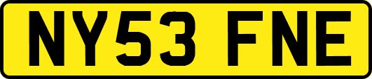 NY53FNE