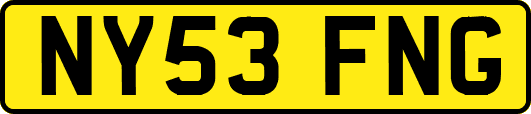 NY53FNG