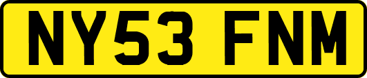 NY53FNM