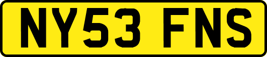 NY53FNS