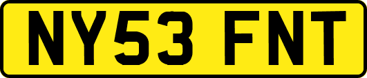 NY53FNT