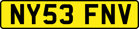 NY53FNV