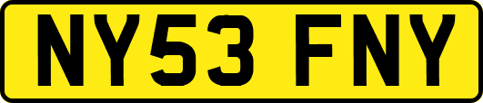 NY53FNY