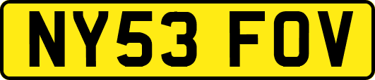 NY53FOV