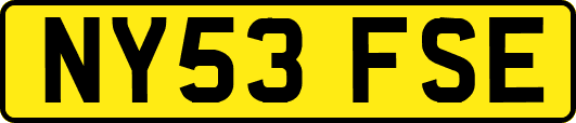 NY53FSE