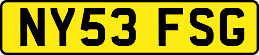 NY53FSG