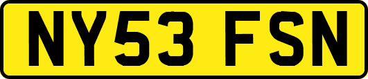 NY53FSN