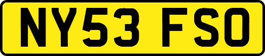 NY53FSO