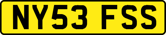 NY53FSS