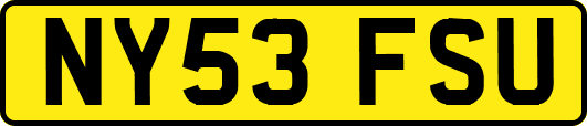 NY53FSU