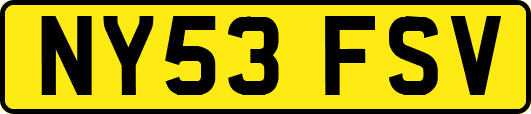 NY53FSV