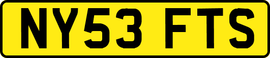 NY53FTS