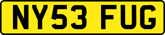 NY53FUG