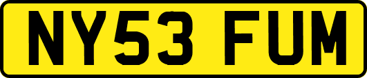 NY53FUM
