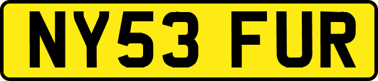 NY53FUR