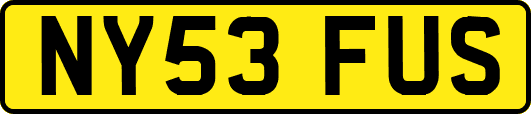 NY53FUS
