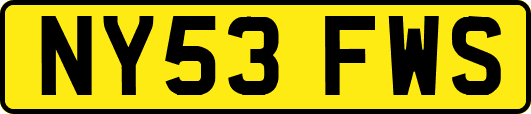 NY53FWS