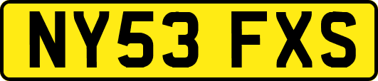 NY53FXS