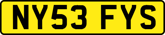 NY53FYS