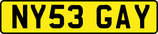 NY53GAY