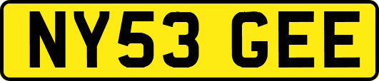 NY53GEE