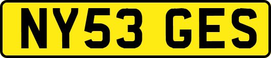 NY53GES