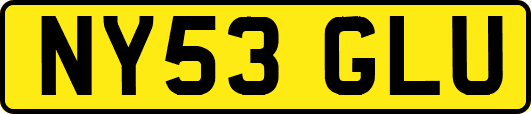 NY53GLU