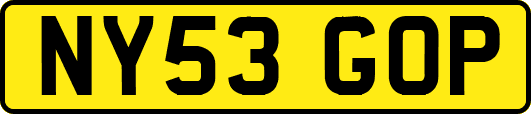 NY53GOP