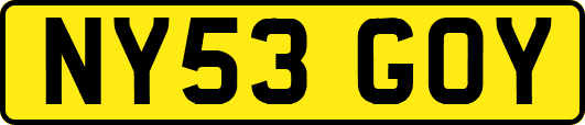 NY53GOY