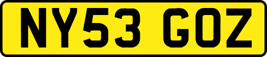 NY53GOZ