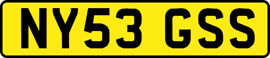 NY53GSS