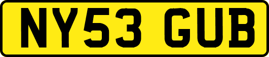 NY53GUB