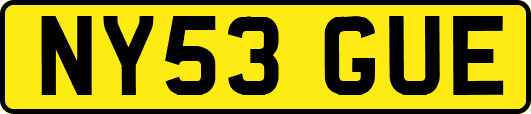 NY53GUE
