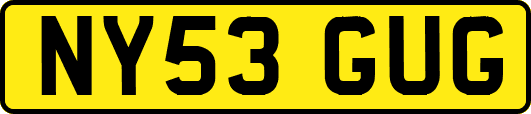 NY53GUG