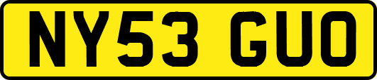 NY53GUO