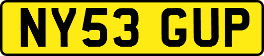NY53GUP