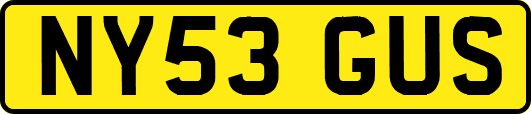 NY53GUS