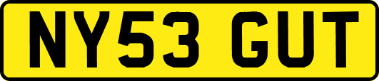 NY53GUT