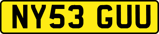 NY53GUU