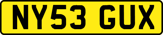 NY53GUX