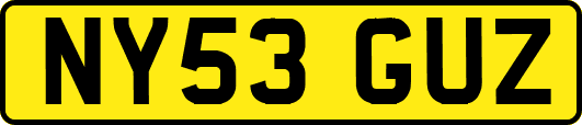 NY53GUZ