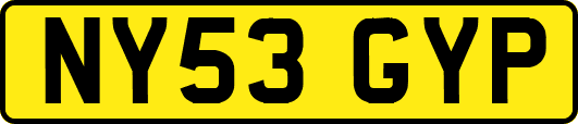 NY53GYP
